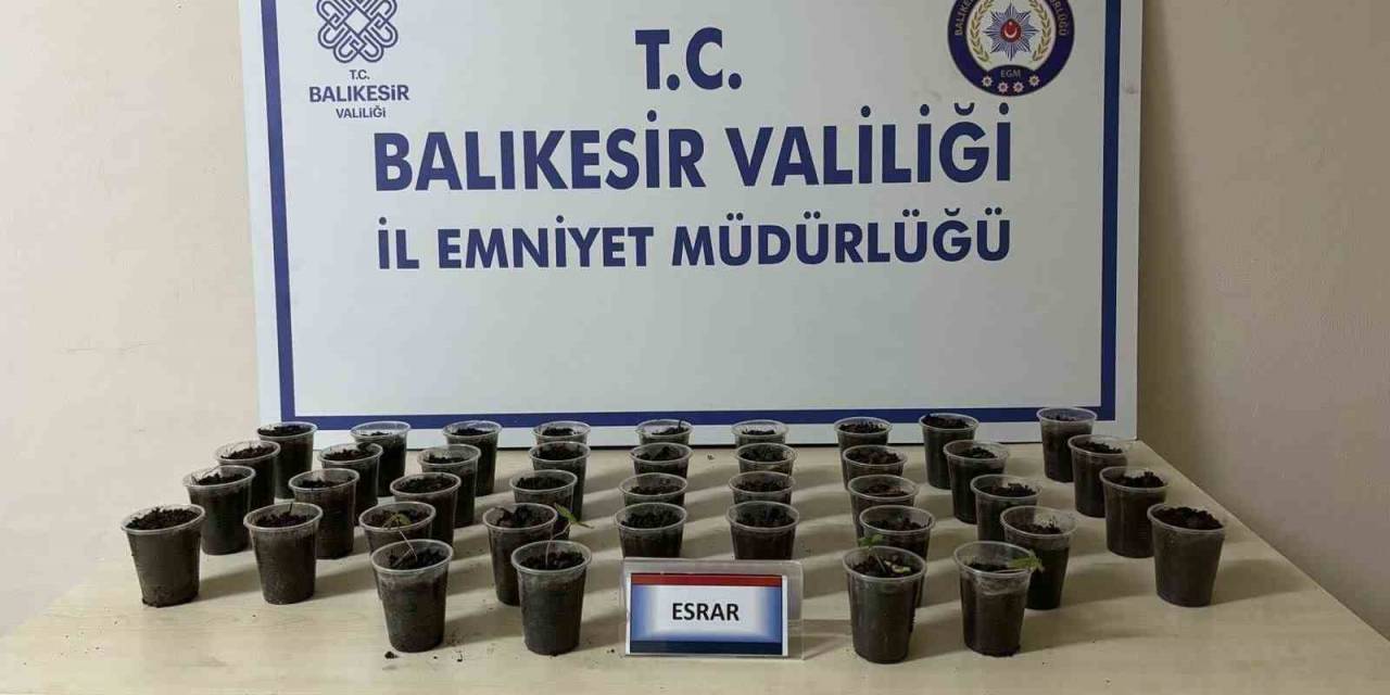 Erdek’te Uyuşturucu Operasyonu