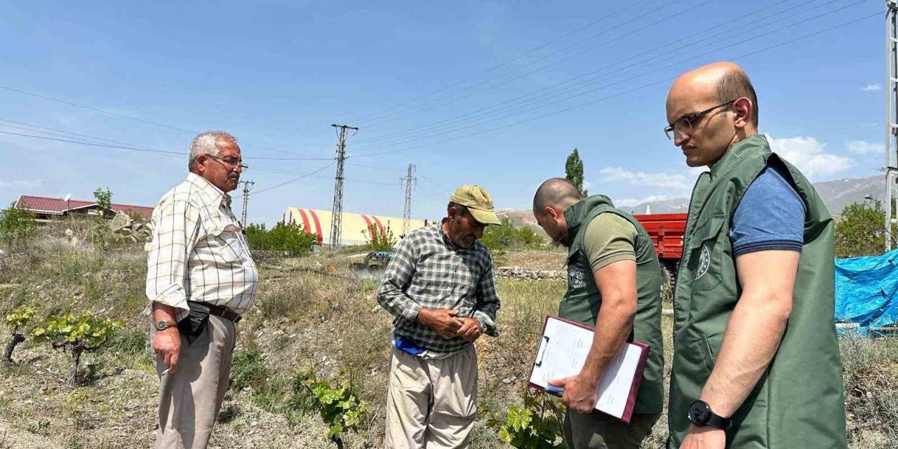 “Bağ Küllemesi Hastalıkları” Yüzde 90 Verim Kaybına Yol Açabilir