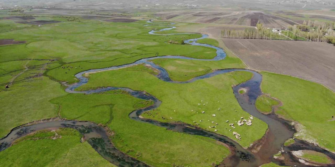 Kars’taki Mendereslerde Bahar Güzelliği