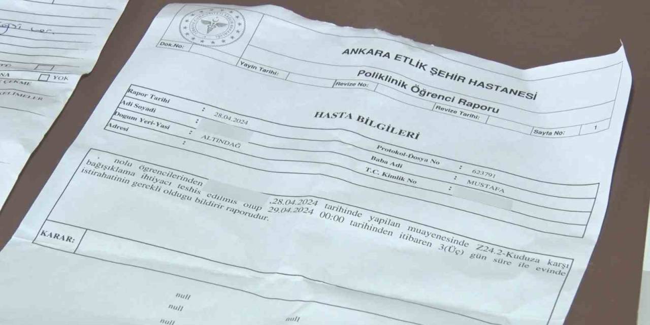 Ankara’da 15 Yaşındaki Çocuğa Sokak Köpekleri Saldırdı