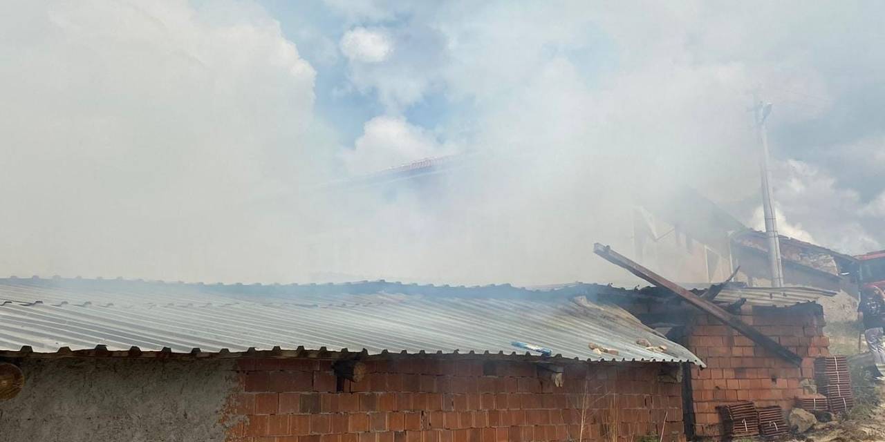 200 Saman Balyası Yanarak Ziyan Oldu