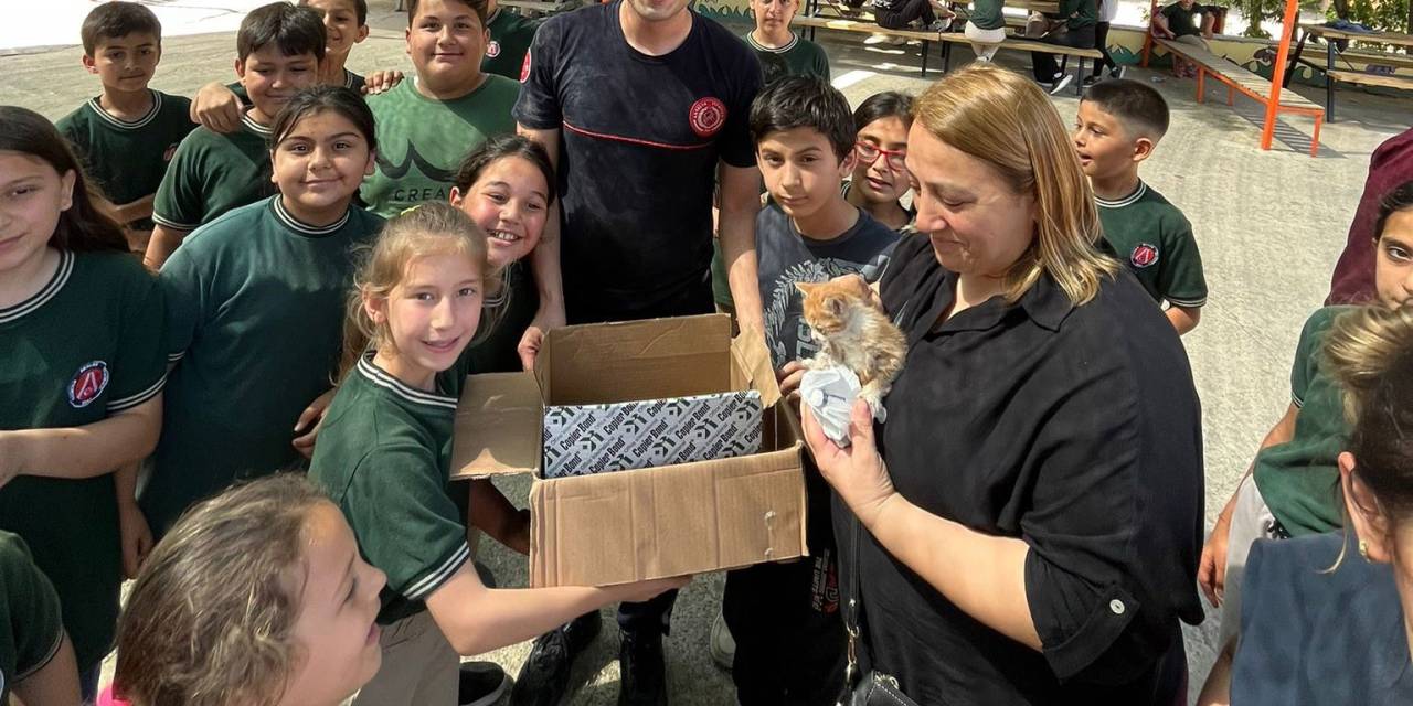 Çatıda Mahsur Kalan Yavru Kediler Kurtarıldı