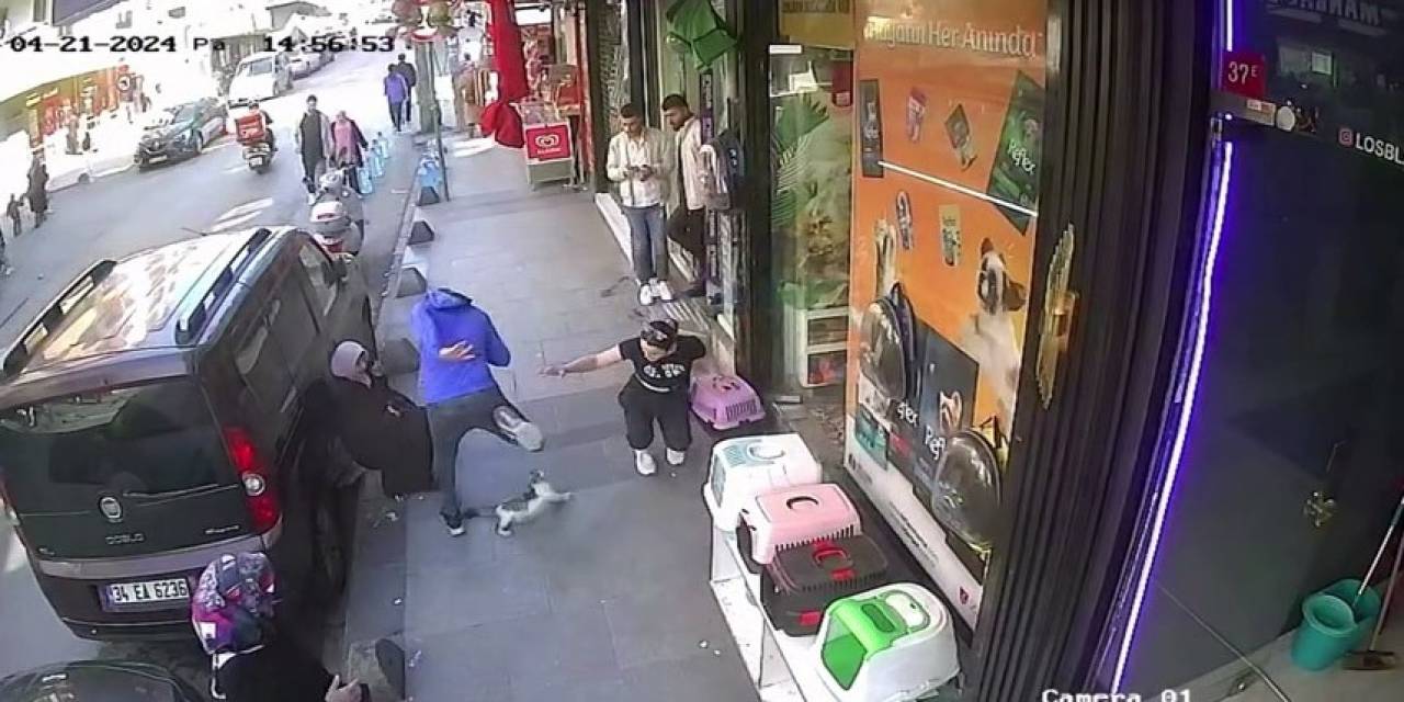 Esenler’de "Yedi Bela Hüsnü" İsimli Bir Kedi, Kimseye Geçit Vermiyor