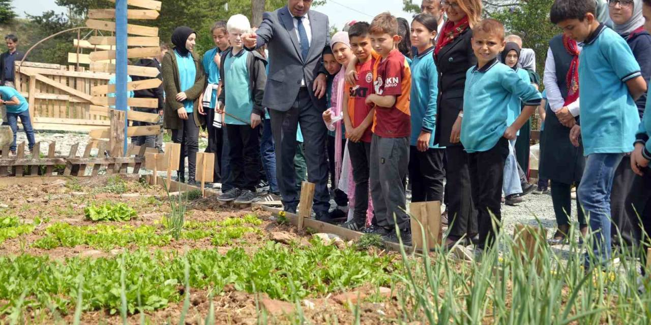 Atıl Arazi Seraya Dönüştürüldü, Öğrenciler Tarımsal Üretime Başladı