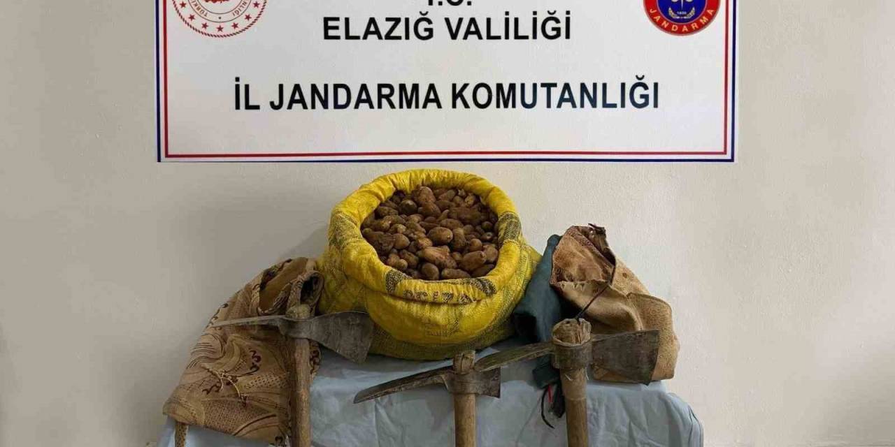 Elazığ’da 30 Kilogram Salep Bitkisi Ele Geçirildi