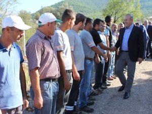 Ak Parti Genel Başkan Yardımcısı ,Milletvekili Adayı Mevlüt Çavuşoğlu: