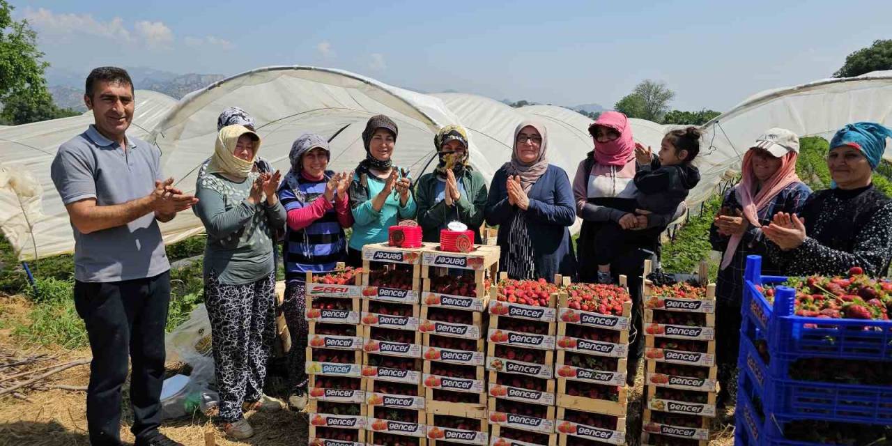 İşçi Bayramını Meydanda Değil, Tarlada Kutladılar