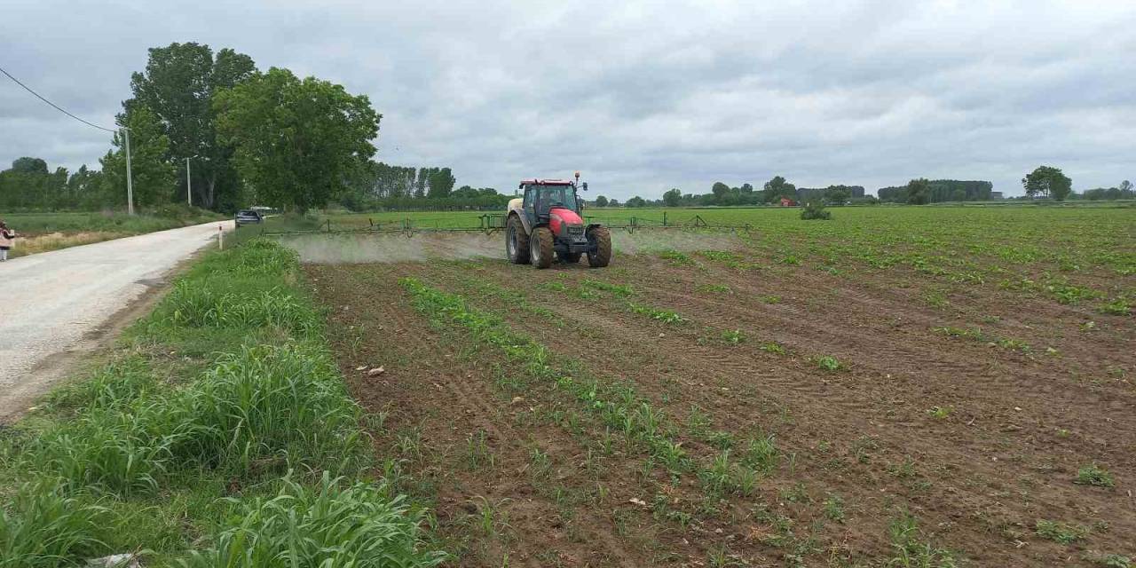 1 Mayısta Onlar Çalışmaya Devam Ettiler