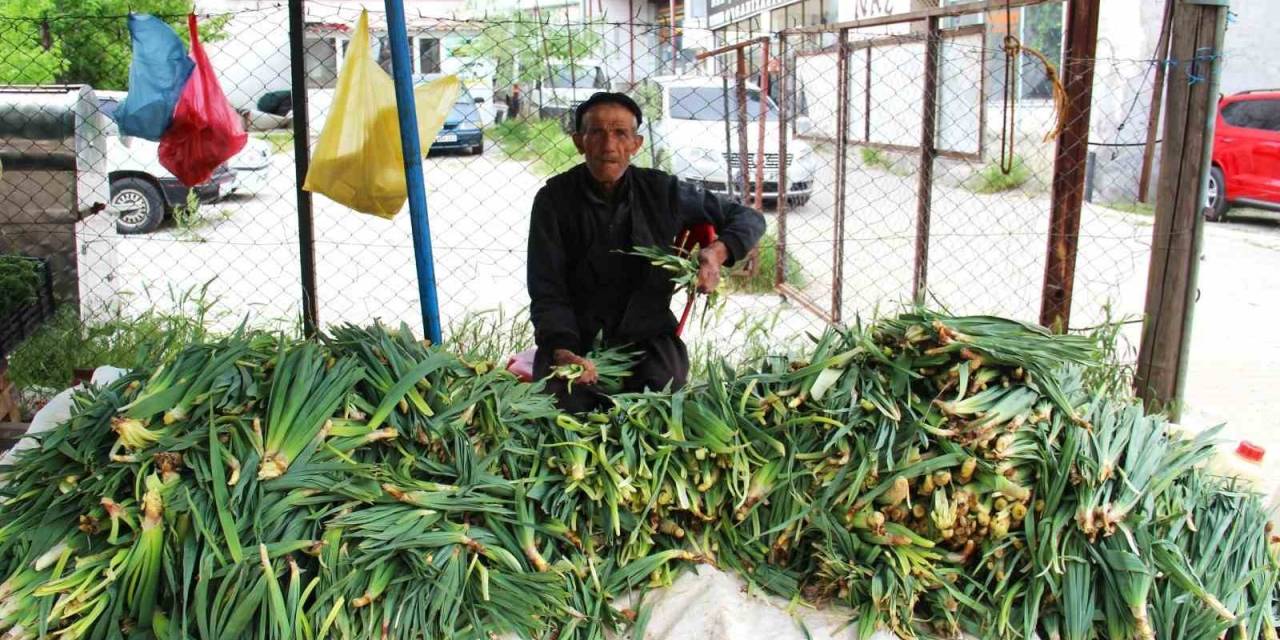 Binboğa Dağından Çiriş Toplayıp Satıyor