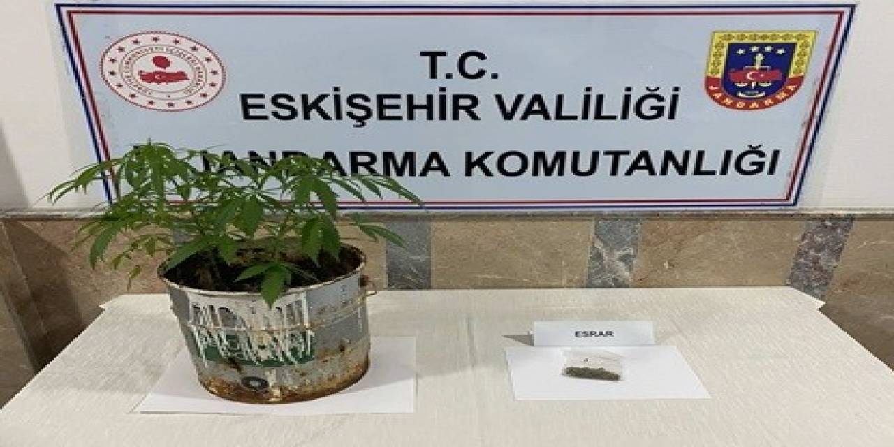 Jandarma Ekiplerinin 9 Farklı Uyuşturucu Operasyonunda 20 Şüpheli Yakalandı