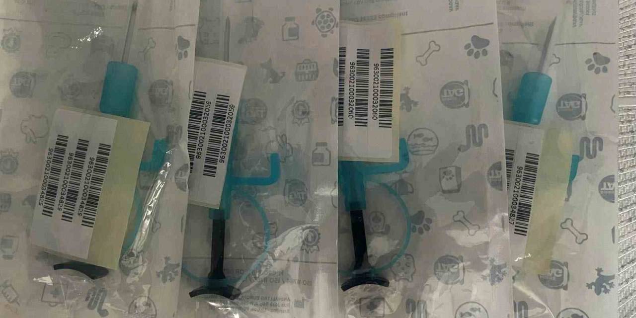 İstanbul’da Hayvan Kaçakçılığı Operasyonu: 565 Egzotik Hayvan Ele Geçirildi, 36 Kişi Yakalandı