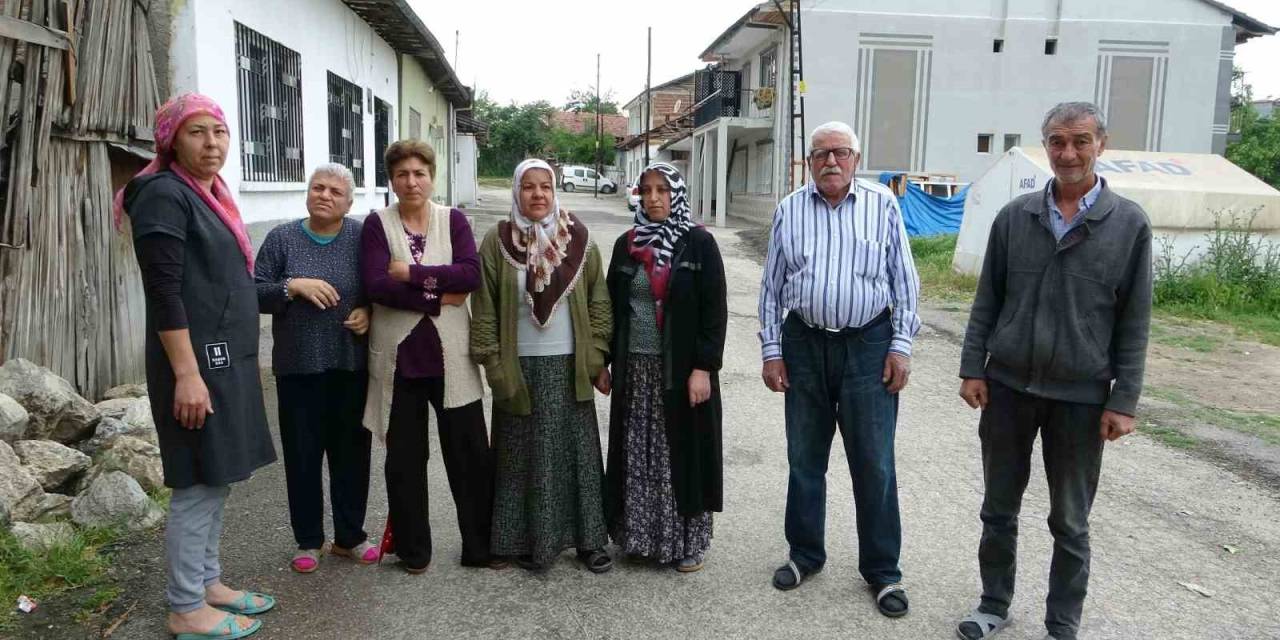 Sokak Köpekleri Mahalleliyi Canından Bezdirdi