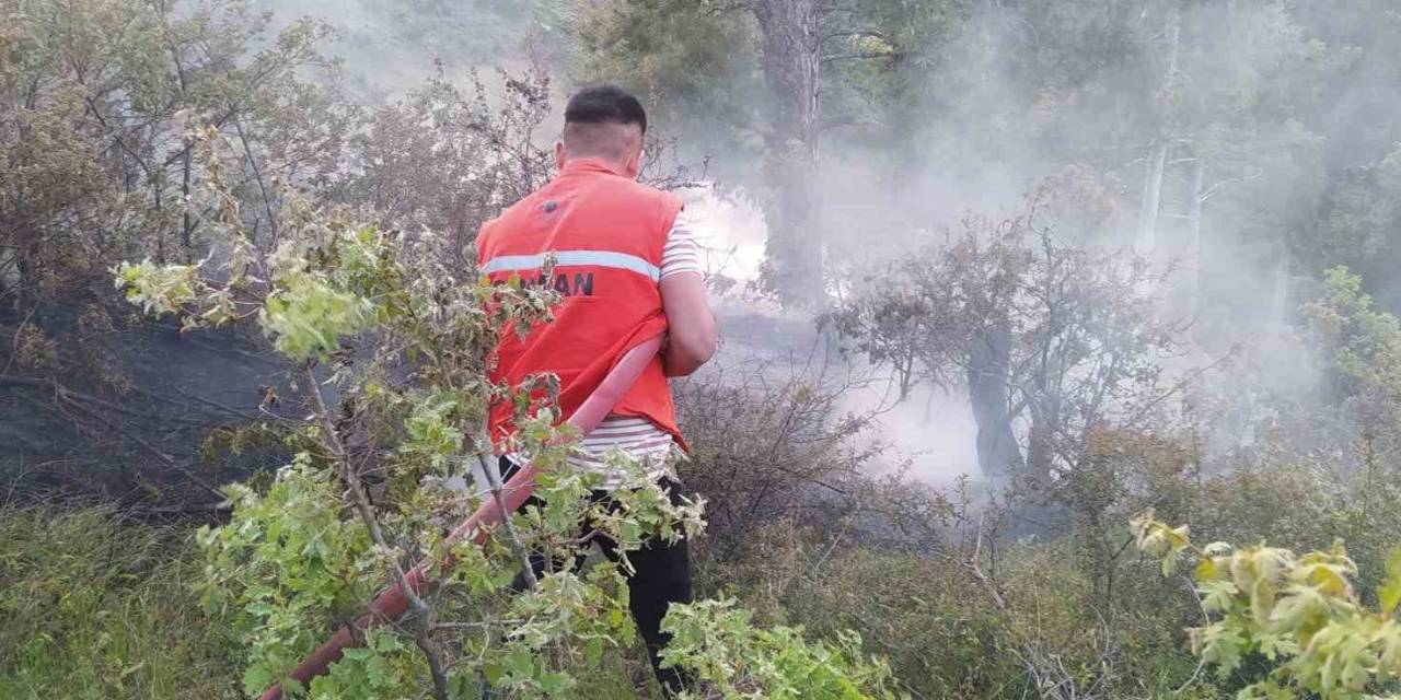 Orman Yangını Büyümeden Önlendi