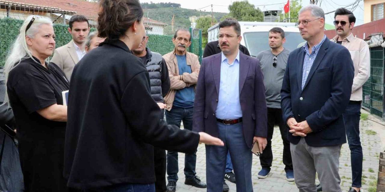 Mudanya’da Sokak Hayvanları İçin Rehabilitasyon Merkezi Kuruluyor