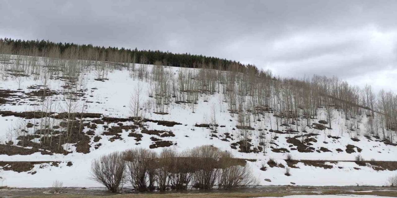 Ardahan’da Bahar Ve Kış Bir Arada