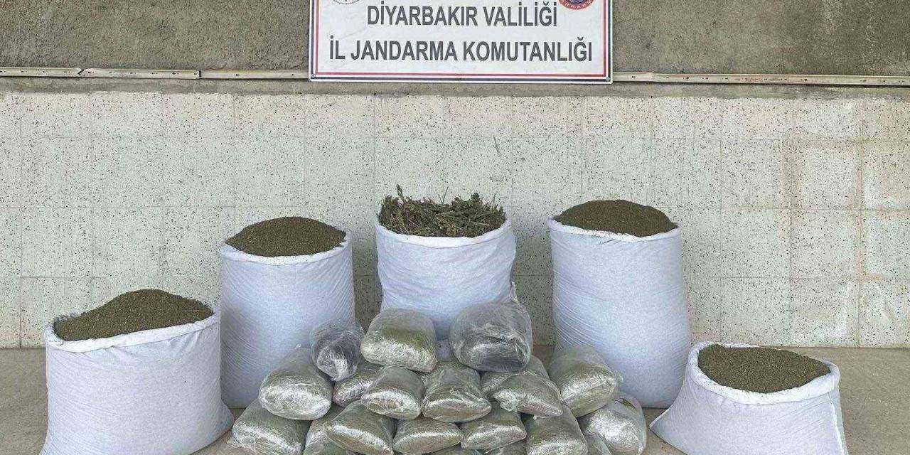 Diyarbakır’da 173 Kilo Esrar Ele Geçirildi