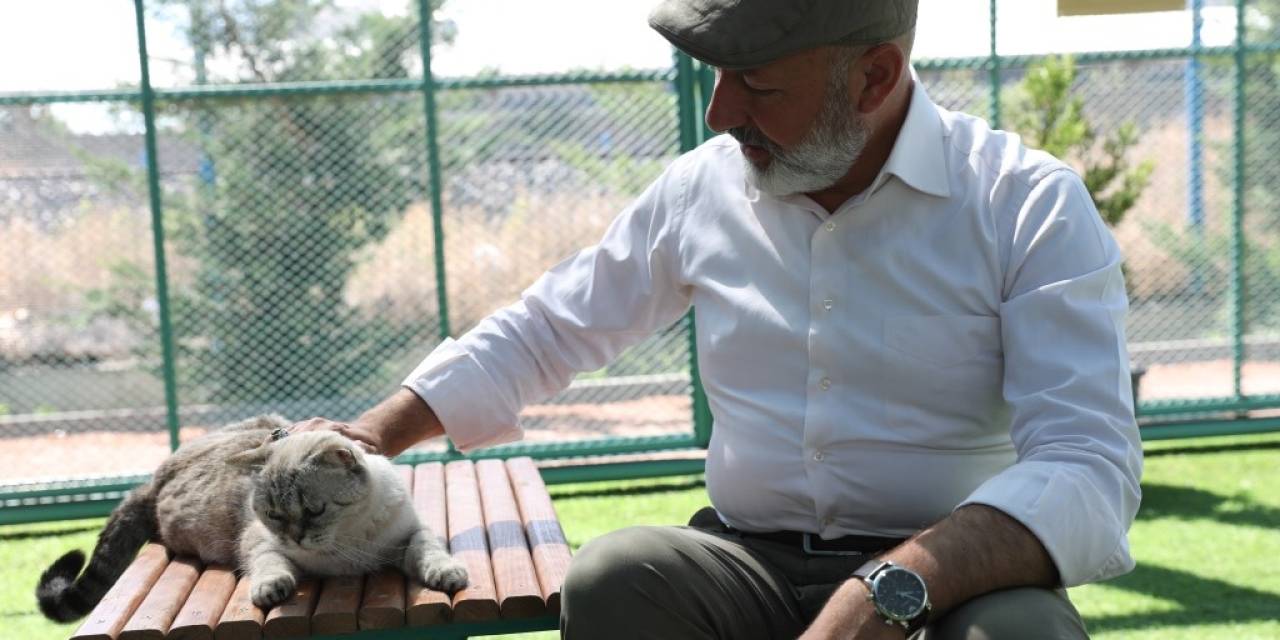 Kayseri’de İlk Olan Küçük Dostlar Kedi Kasabası’na Bir Yılda Rekor Ziyaret