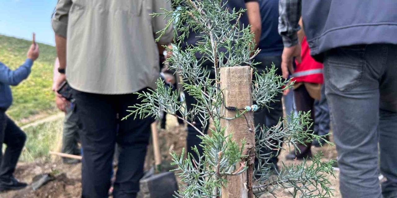 Genç Kadın Her Diktiği Ağaca Bir Hatıra Bırakıyor