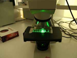 Bu Çipler, Sağlıklı Spermi 12’den Vuruyor