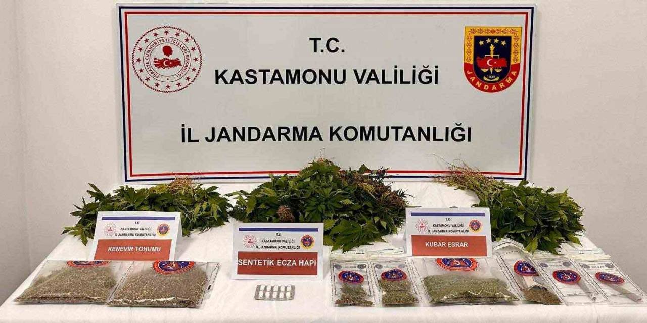 Kastamonu’da 371 Kök Kenevir Ele Geçirildi: 1 Tutuklama