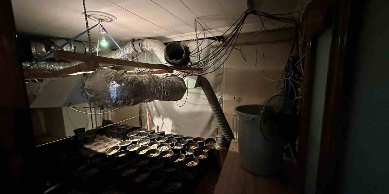 Esenyurt’ta Uyuşturucu Serasına Çevrilen Eve Operasyon: 15 Kilogram Esrar Ele Geçirildi