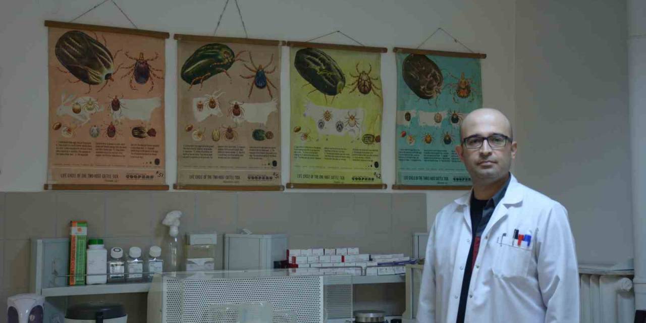 Keneden Korunmak İçin Günlük Vücut Kontrolü Yapmalı