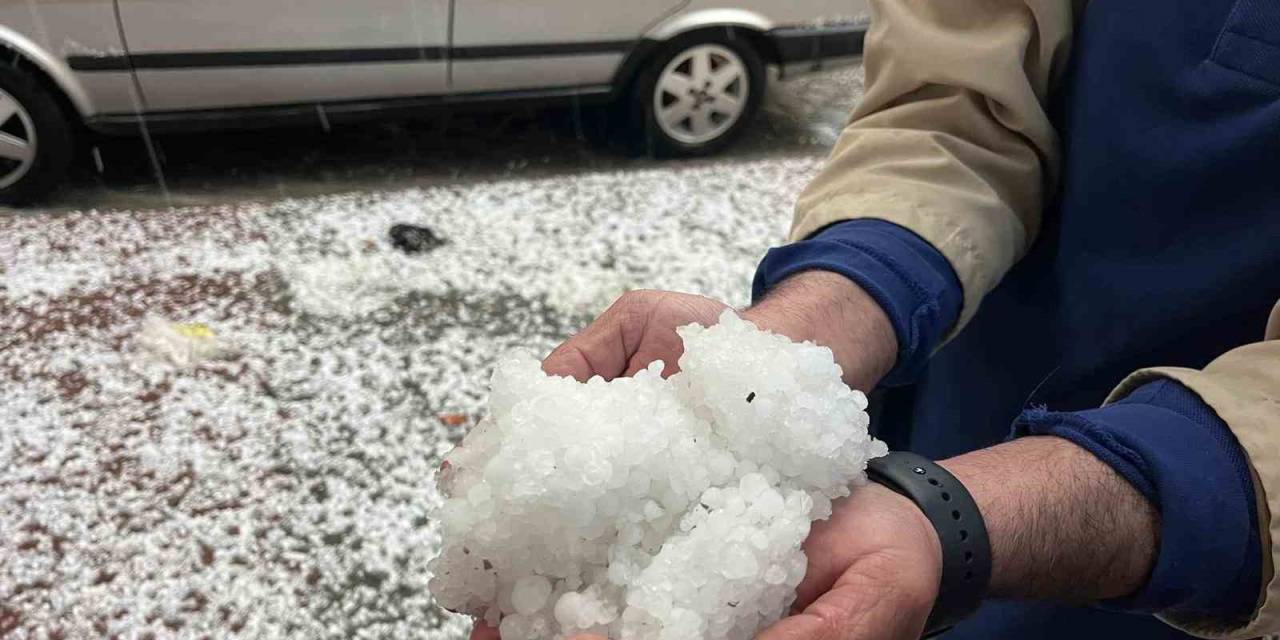 Mayıs Ayında Yağan Dolu Üreticiyi Vurdu