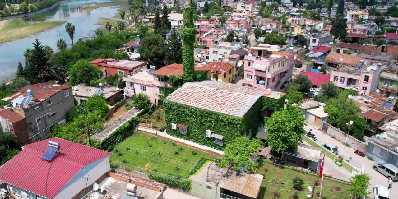 ’yeşil Cami’ Sarmaşıklarına Kavuştu