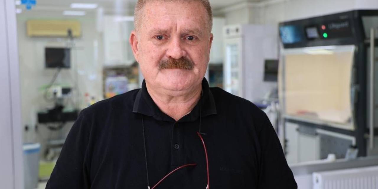 Adana Sokaklarında Yaklaşık 200 Bin Köpek Var