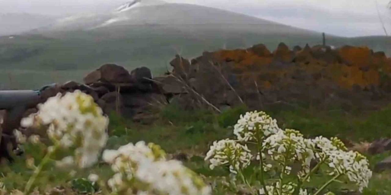 Kars’ta Dumanlı Dağı’nın Zirvesine Kar Yağdı