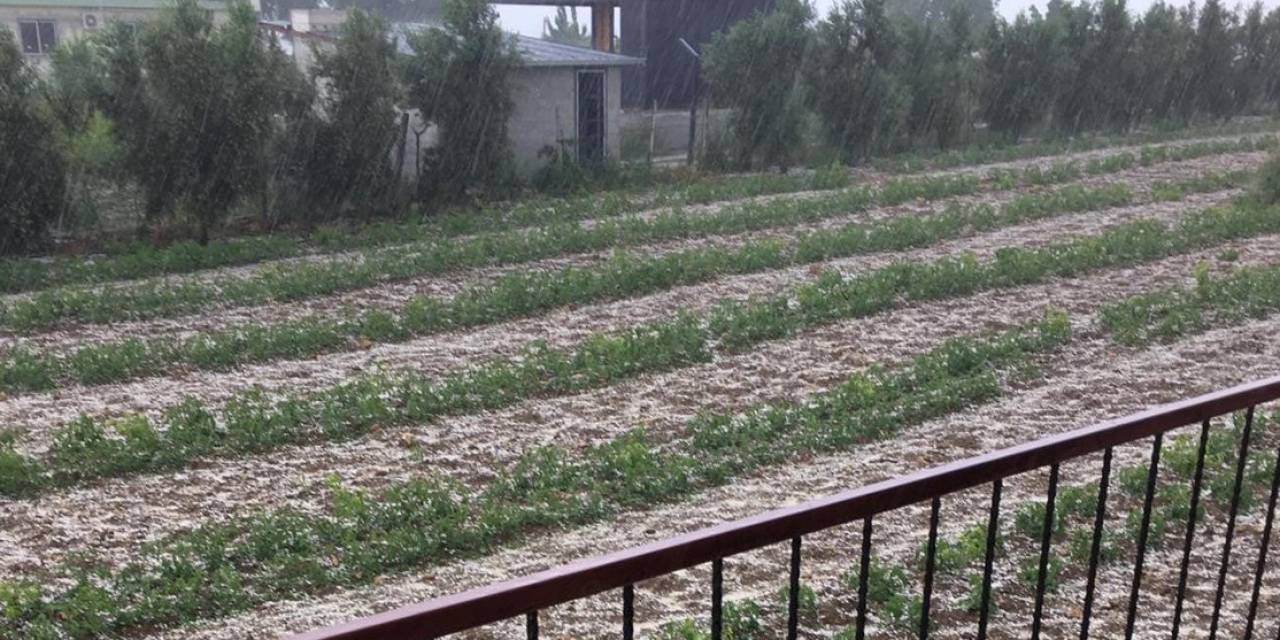 Toroslar İlçesinde Dün Etkili Olan Dolu Ekili Alanlara Zarar Verdi