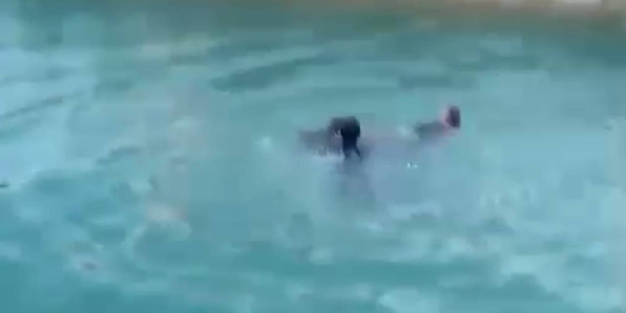 Sulama Kanalına Düşen Kadını Vatandaşlar Kurtardı