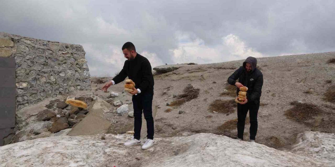 Karla Kaplı Nemrut’taki Yabani Hayvanlar Unutulmadı