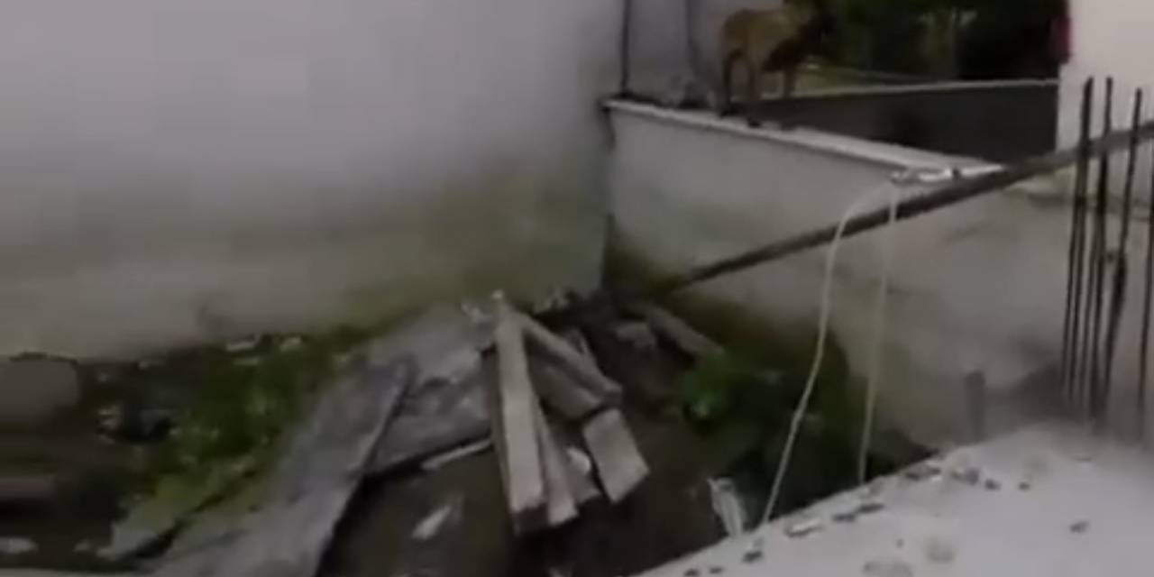 Bursa’da 3 Çocuğu Isıran Köpeklere Polisin Müdahalesi Kamerada