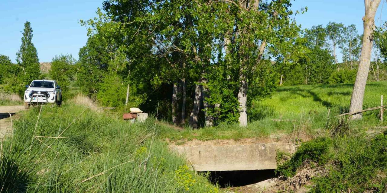Sulama Kanalında Başı Kesilmiş Ceset Bulundu, 3 Kişi Gözaltına Alındı
