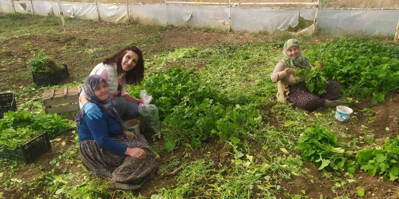 Eskişehir’de Sağlıklı Tarımsal Üretim Çalışmaları Devam Ediyor