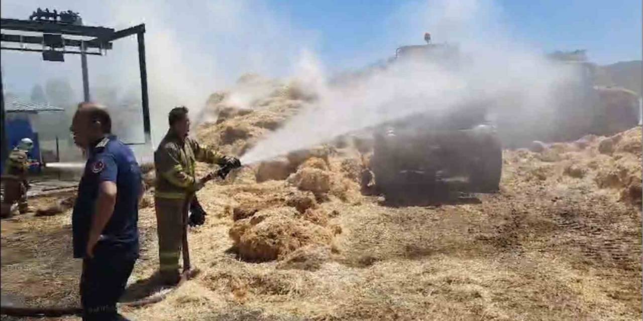 Yangına Erken Müdahale Edildi, Çiftçinin Emeği Kül Olmaktan Kurtarıldı