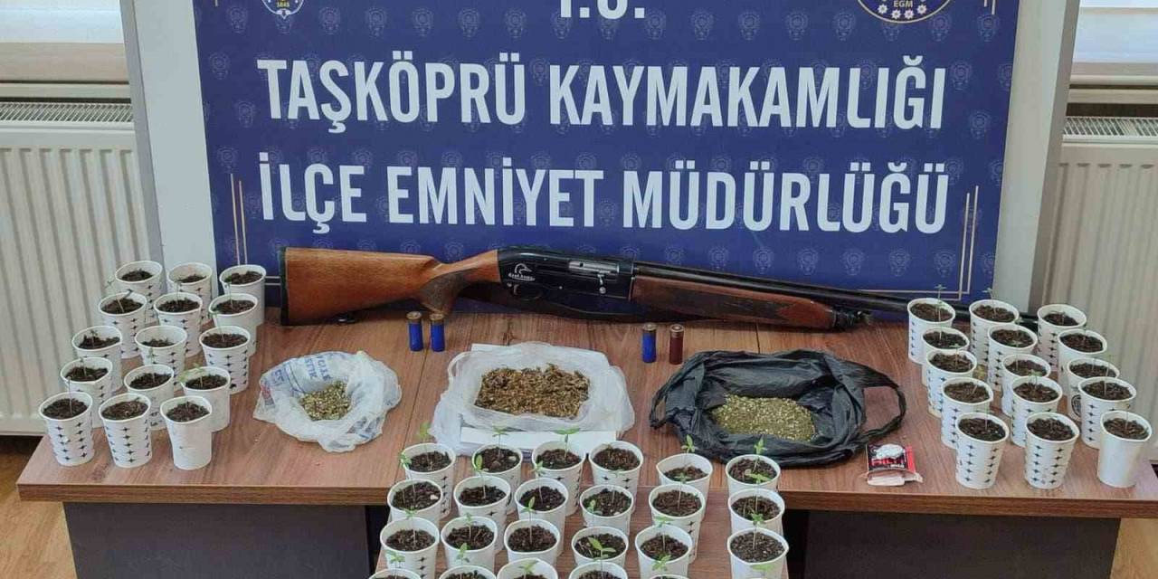 Kastamonu’da Karton Bardak İçerisinde Uyuşturucu Ele Geçirildi