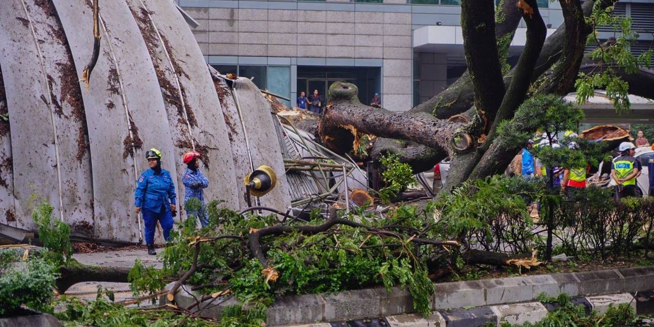 Malezya’da Ağaç Devrildi: 1 Kişi Öldü, 17 Araçta Hasar Oluştu