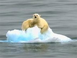 Anneciğim çok korkuyorum!