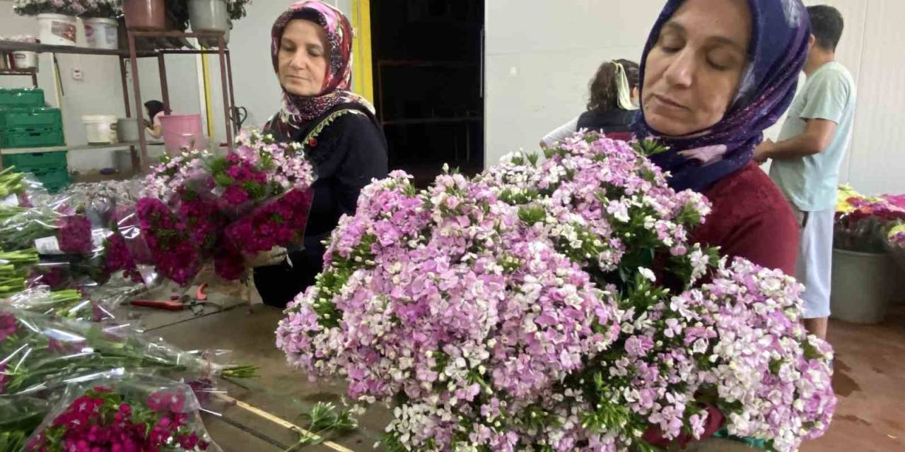 100 Bin Anne İçin 100 Bin Demet Çiçek Hazır