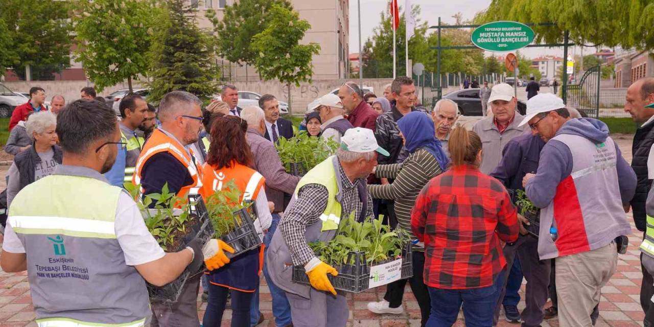 13 Bin 90 Adet Fide Gönüllü Bahçelerinde Toprakla Buluşacak