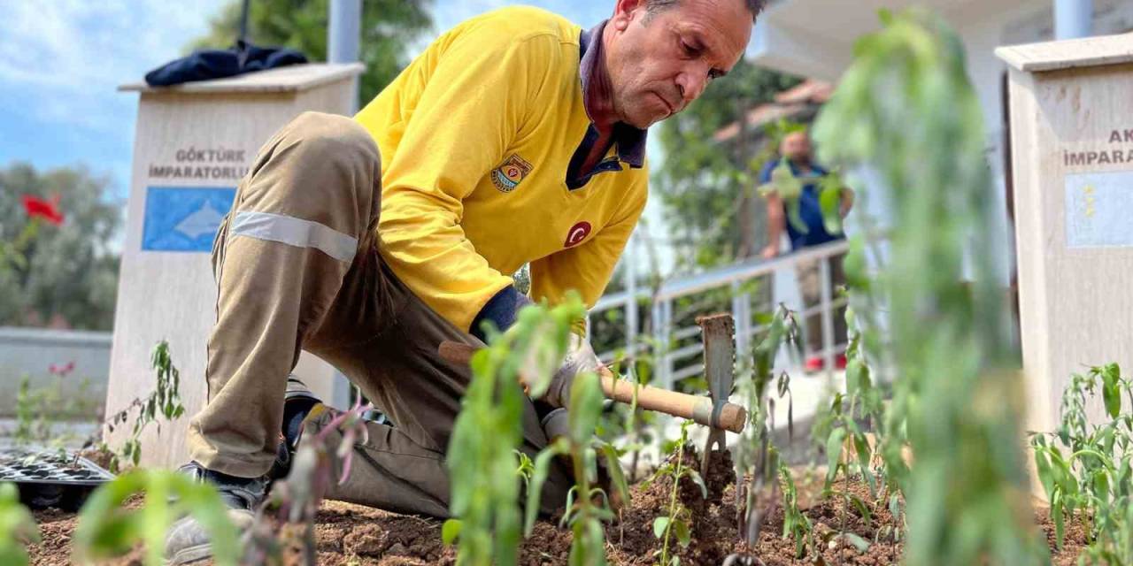 Tarsus’ta Parklarda Yenileme Ve Bakım Çalışmaları Sürüyor