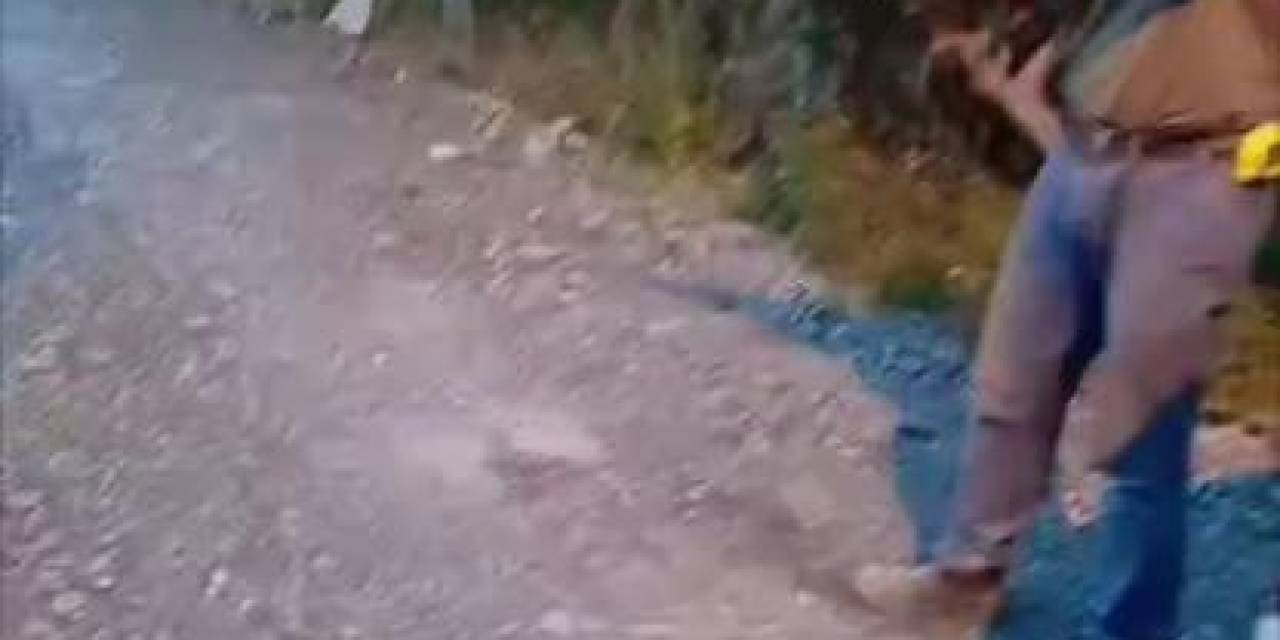 Sahipsiz Köpeği Tüfekle Öldüren Şahıs Yakalandı, O Anlar Kamerada