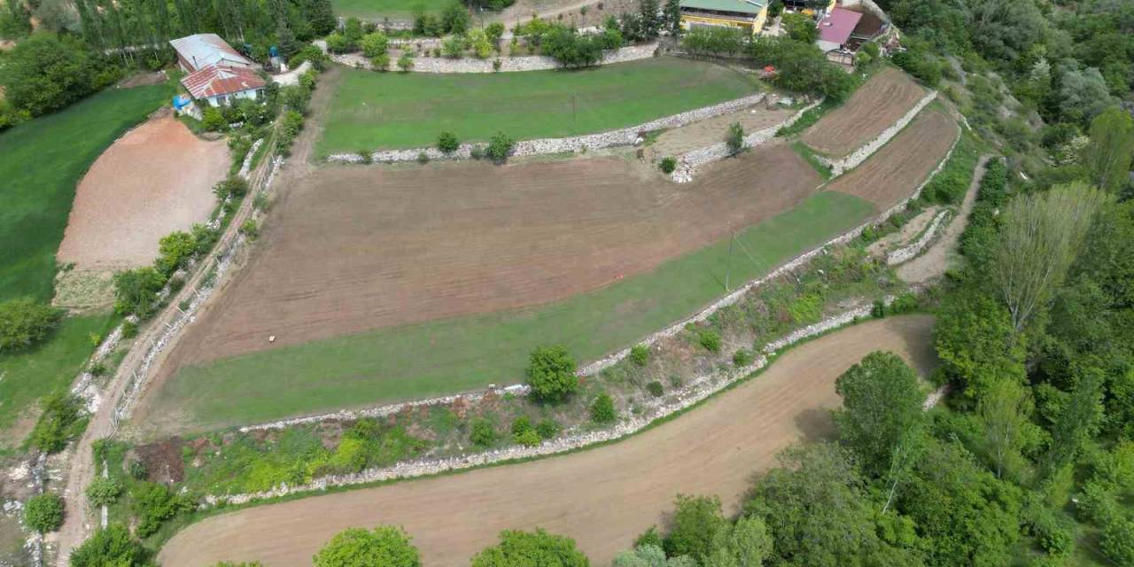 Türkülere Konu Olan Madımağı Ticarileştirdi