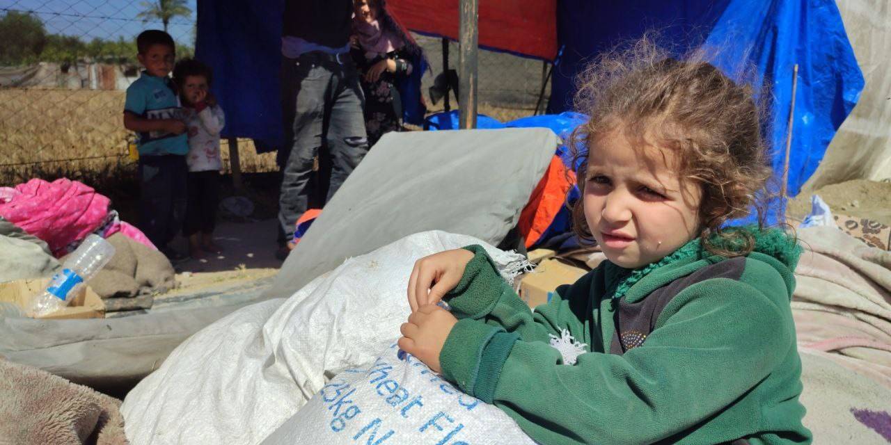 Refah’tan Zorla Yerinden Edilen Filistinliler Çadır Kampları Kuruyor