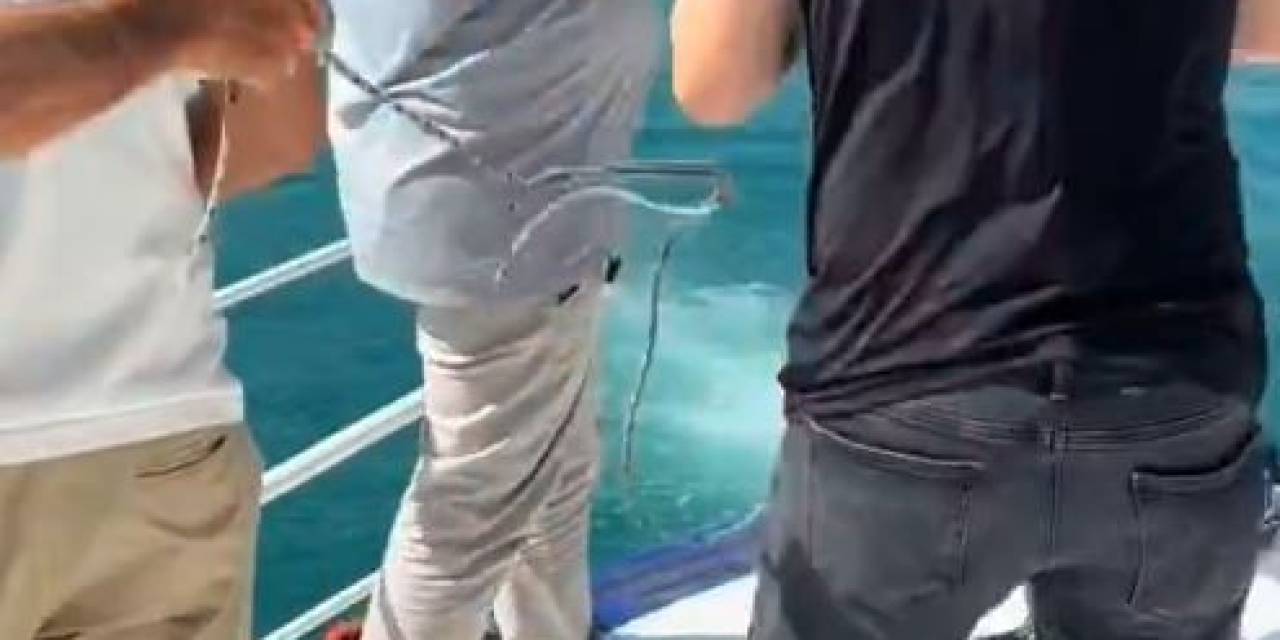 Denize Düşen Papağanı Kurtarmak İçin Seferber Oldular