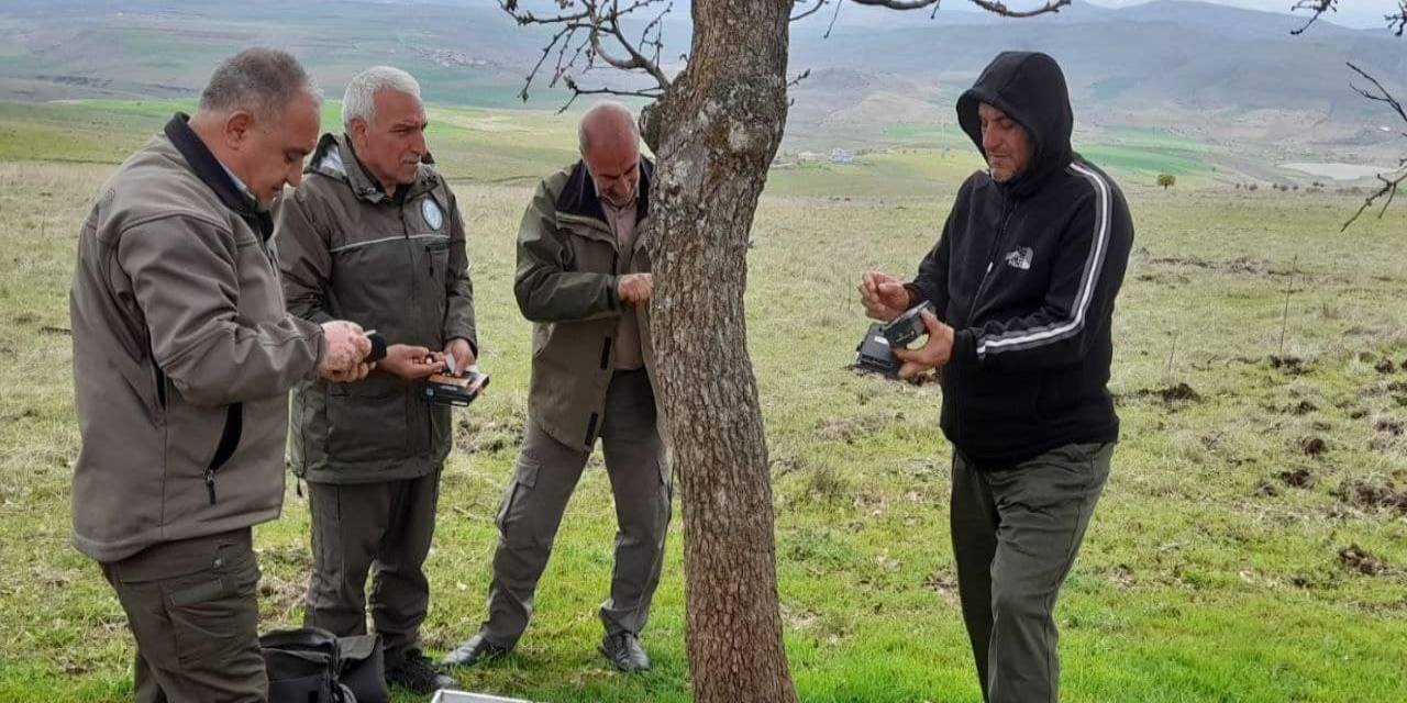 Elazığ’da Fotokapanların Bakımı Yapıldı