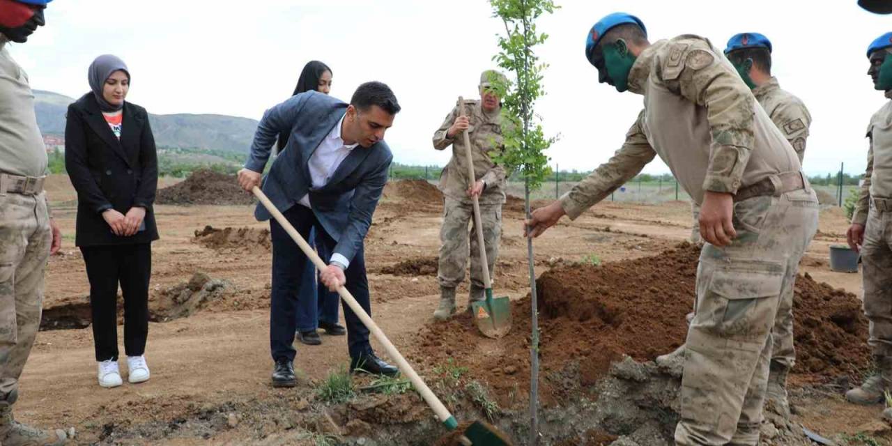 Erzincan’da Fidanlar Toprakla Buluştu