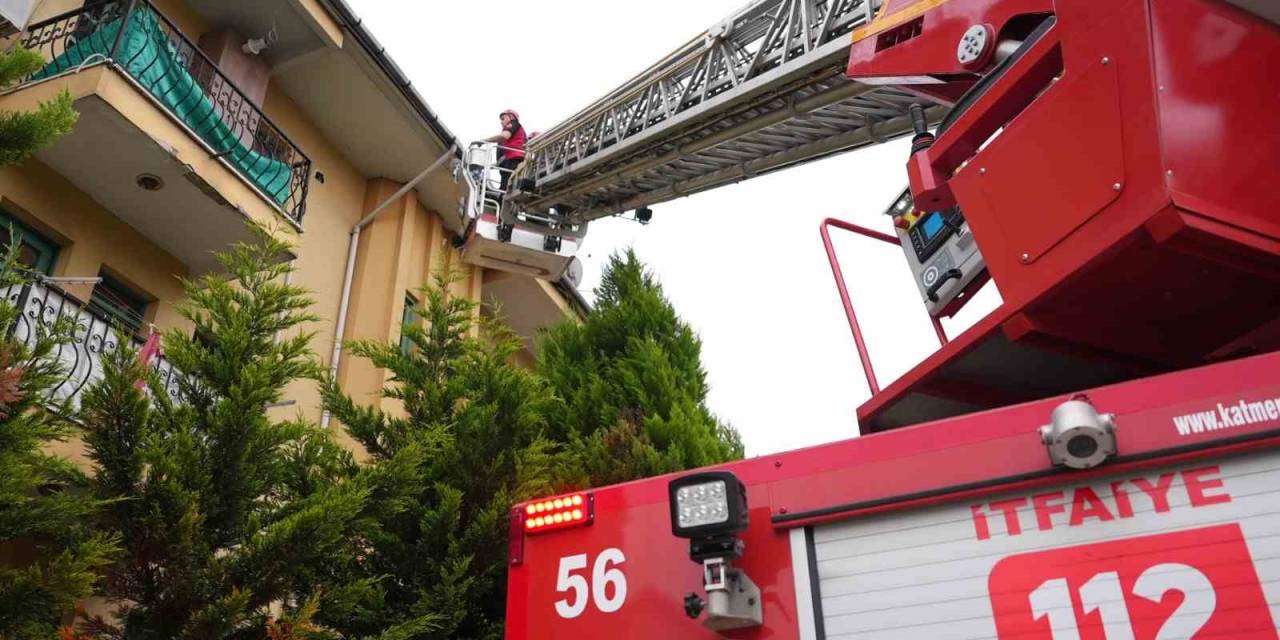 İtfaiyeciler Çatılarda Kuş Yuvası Aradı